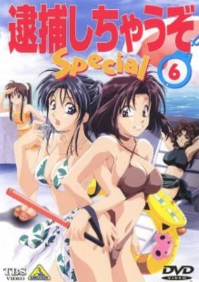 You're Under Arrest: Diverting Traffic at the Beach cover art