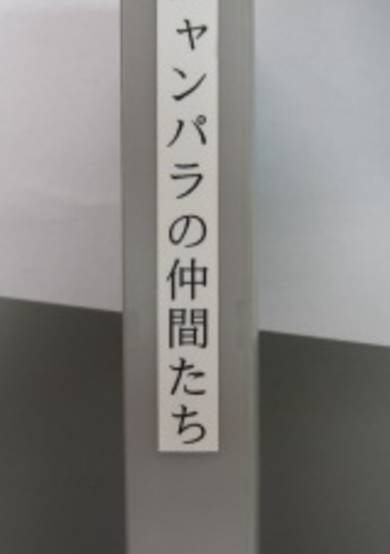 Nyanpara no Nakama-tachi cover