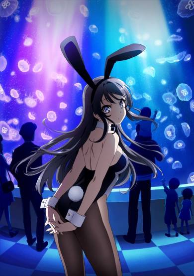 Rascal Does Not Dream of Bunny Girl Senpai