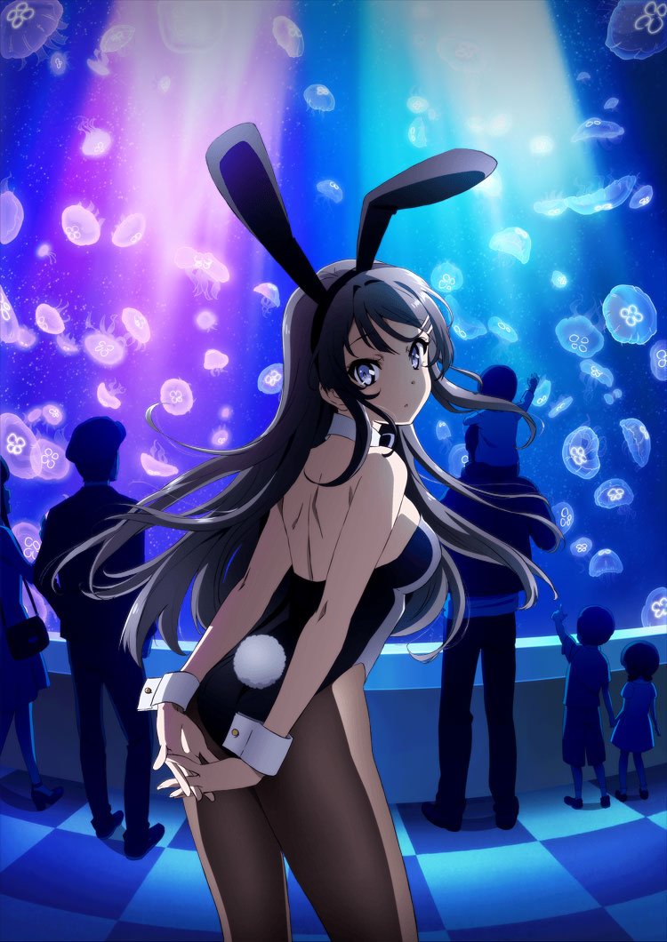 Rascal Does Not Dream of Bunny Girl Senpai image