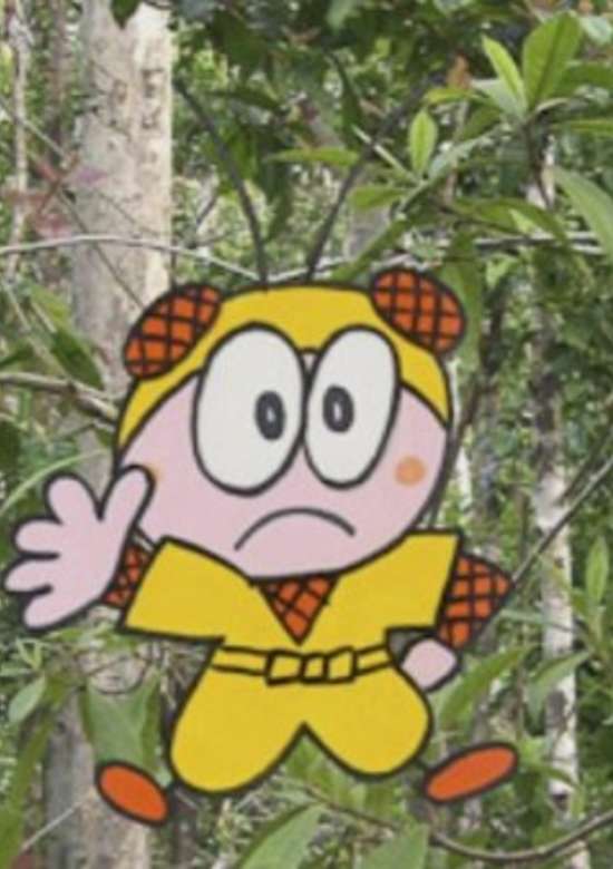Konchuu Ninja