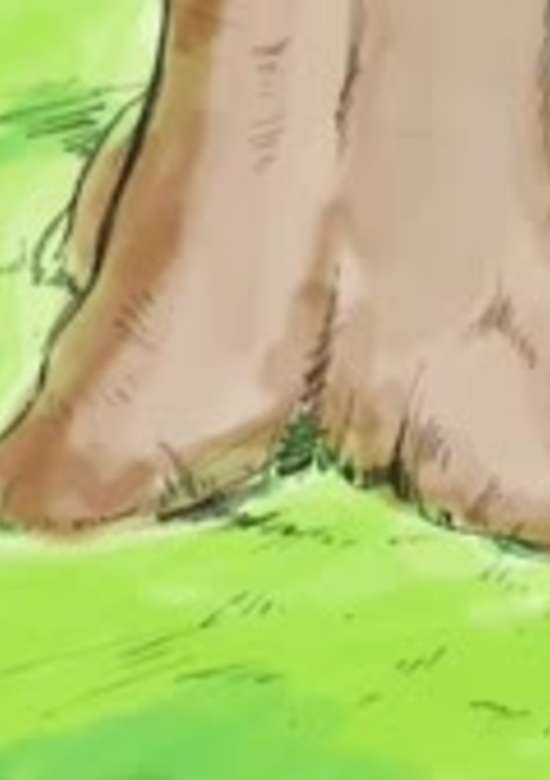 Inuyasha
