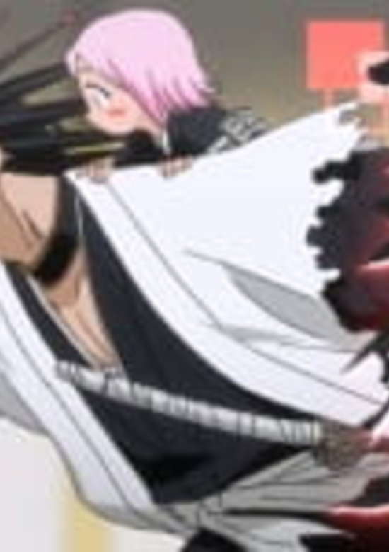 Bleach: Gotei 13 Omake