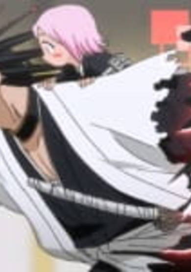 Bleach: 13 Court Guard Squads Omake cover