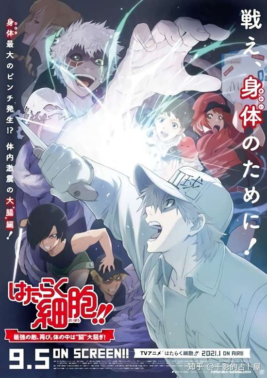 Hataraku Saibou!!: Saikyou no Teki, Futatabi. Karada no Naka wa 