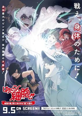 Hataraku Saibou!!: Saikyou no Teki, Futatabi. Karada no Naka wa "Chou" Oosawagi!