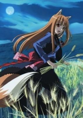 Spice and Wolf II: The Wolf and the Amber Melancholy cover art