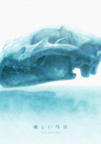 Comet cover
