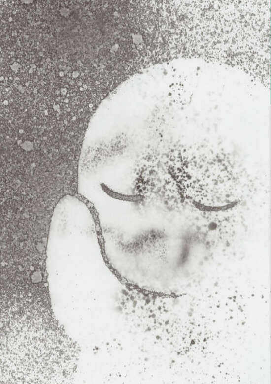 Charon Meiosei no kodoku