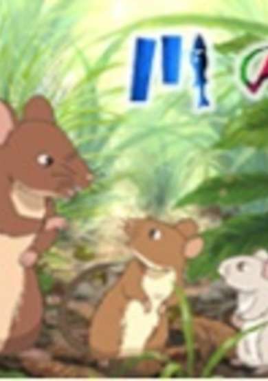 Kawa no Hikari image