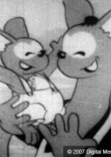 Baby Kangaroo's Birthday Surprise