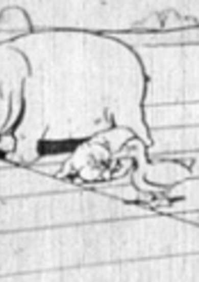 Doubutsu Olympic Taikai image