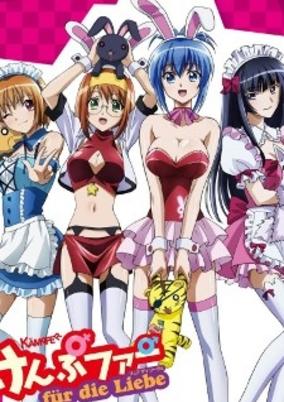 Kämpfer für die Liebe cover art