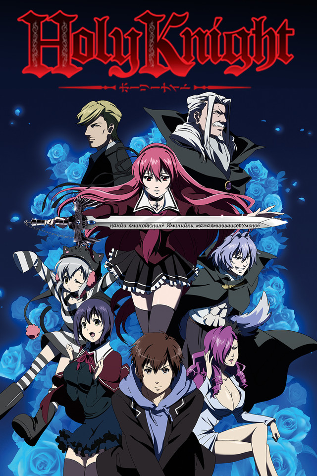 Poster for Holy Knight