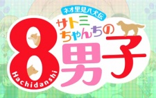 Poster for Neo Satomi Hakkenden: Satomi-chanchi no Hachi Danshi