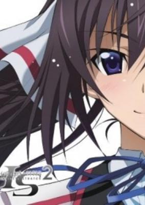 IS: Infinite Stratos 2 - Hitonatsu no Omoide cover art