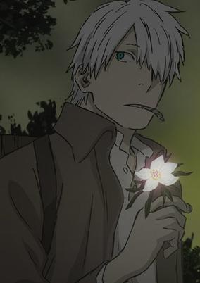 Mushishi Special: Hihamukage cover art