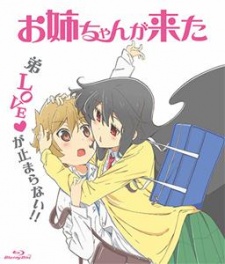 Oneechan ga Kita Special