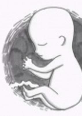 Follow Me cover art