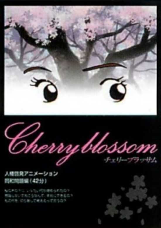 Cherry Blossom