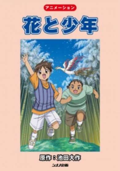 The Flower and the Phoenix cover