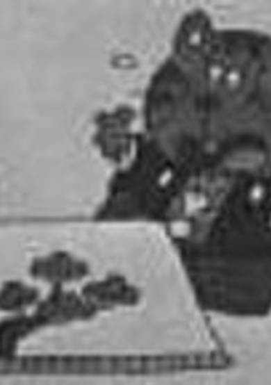 Manga Jinbutsushi image