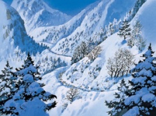 Poster for Shiokari Pass