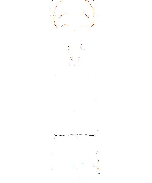 Nakai character portrait