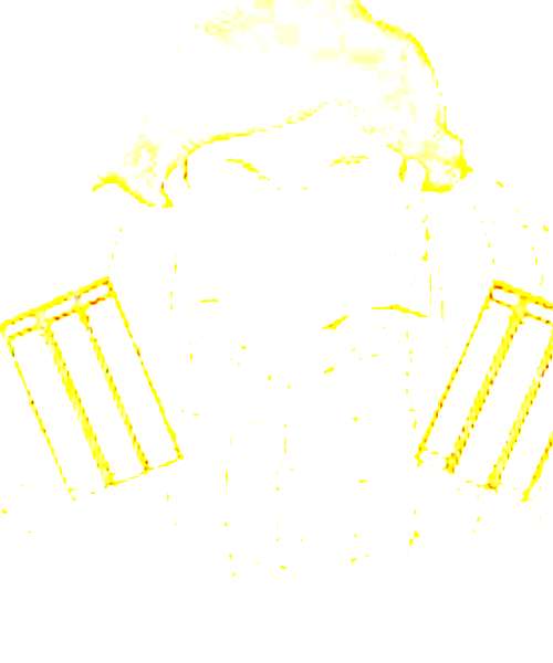 Tanaka character portrait