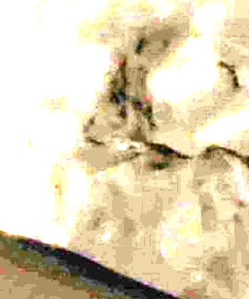 Husserl character portrait