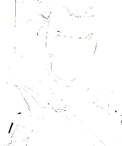 Sutezou character portrait