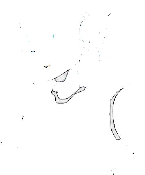 PAC2-AR character portrait