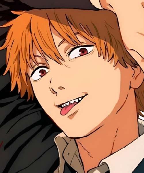 Denji character portrait