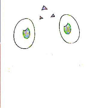 ภาพตัวละคร Culumon