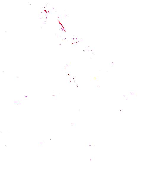 Sakura character portrait
