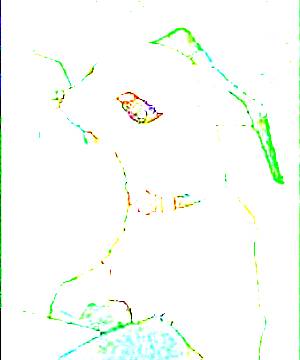 ภาพตัวละคร Japolo