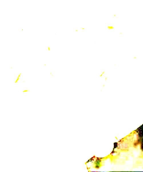 Koji character portrait