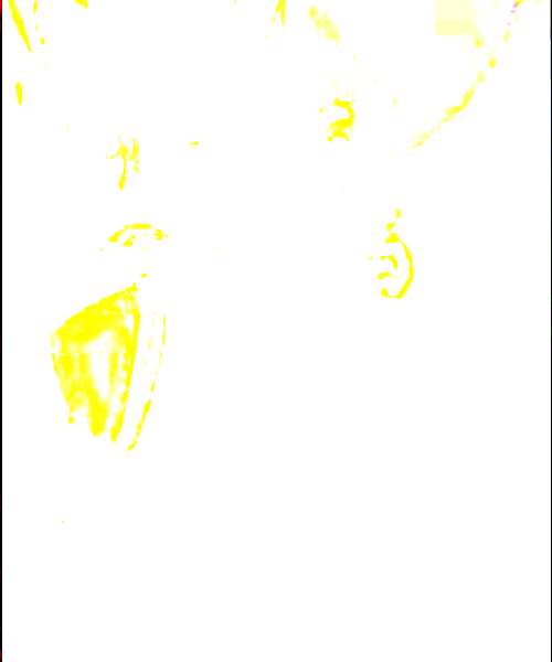 Sukashii character portrait