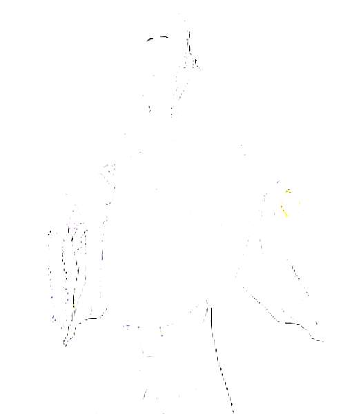 Brother One character portrait