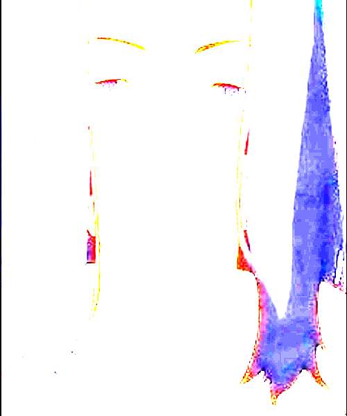 Ryuusuke Minami character portrait