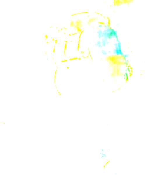 Irene Chang character portrait