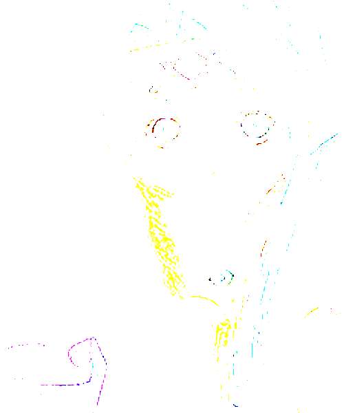 Elma Hoyly character portrait