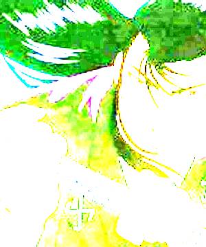 ภาพตัวละคร Sakaki Shuranosuke