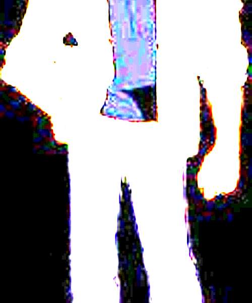 Shuichi Tataki character portrait