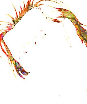 ภาพตัวละคร Guang-Lin Pan