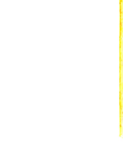 Chie Igarashi character portrait