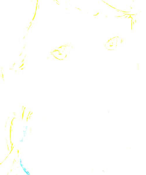 Lula character portrait