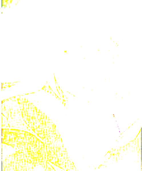 Ralph Werec character portrait