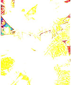 ภาพตัวละคร Tsunayoshi Sawada