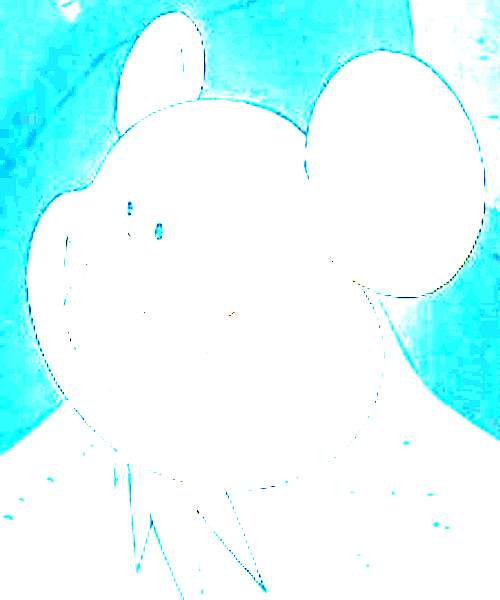 Koemushi character portrait